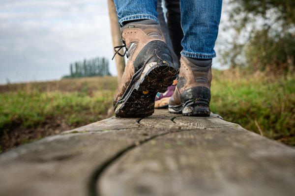 Recordjaar voor Klompenpaden: 177 wandelroutes in Gelderland en Utrecht
